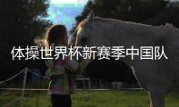 体操世界杯新赛季中国队迎开门红 “张怡涵腾跃”命名成功