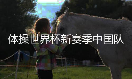 中国最终以14.766分夺金