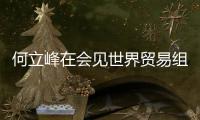 何立峰在会见世界贸易组织总干事伊维拉时指出：中方坚定支持多边主义和自由贸易 支持世界贸易组织在全球经济治理中发挥更大作用