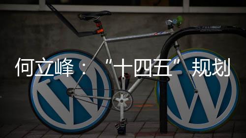 何立划纲设置了20个主要指标