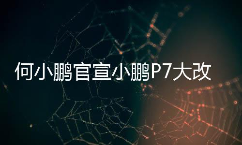 宣小学设运动感十足