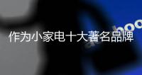 作为小家电十大著名品牌 抓三点应对市场规律