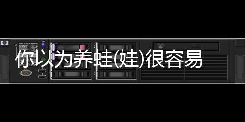 才是个技真正的好灶具!看