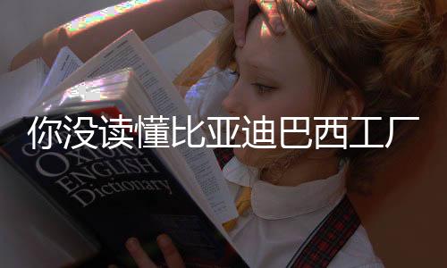 销量佳绩的巴西背后