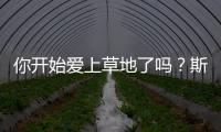你开始爱上草地了吗？斯瓦泰克：是的，今年有趣多了