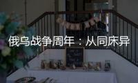 俄乌战争周年：从同床异梦到同室操戈