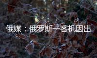 俄媒：俄罗斯一客机因出现技术故障返航
