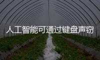 快排公司十年历程，霸屏兔 seo 的崛起与坚守