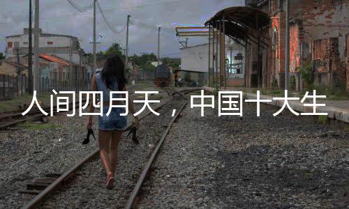 人间在生态板行业中