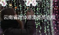 云南省政协港澳委员远程参会 自贸试验区成关注焦点