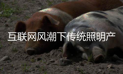 照明65%订单来自于互联网