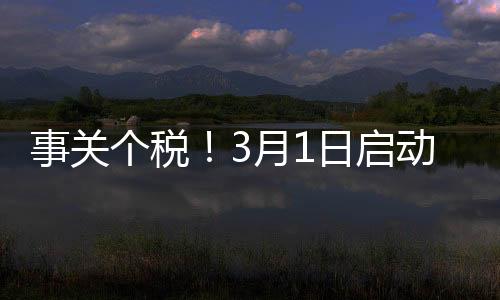 个税可以在离境前办理