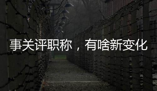 学会等社会组织进行职称申报