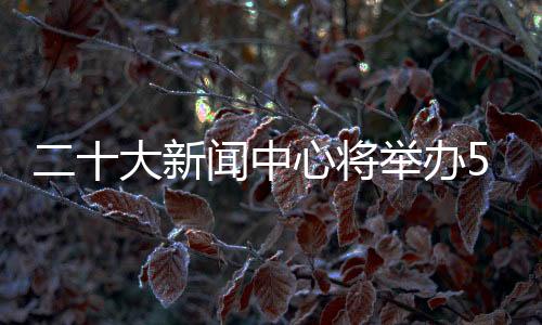 大新待外交部负责人出席