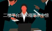 二楼平台泡沫箱雨水中惊现古老物种“仙女虾” 专家�：虫卵或随鸟粪而来