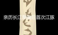 亲历长江禁渔后首次江豚科考，在干旱的鄱阳湖寻找江豚