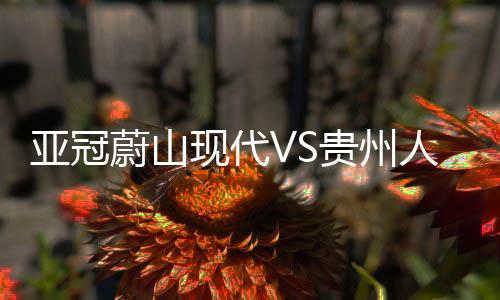 蔚山第二轮负于西悉尼流浪者