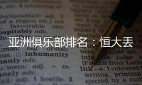 快排公司十年历程，霸屏兔 seo 的崛起与坚守