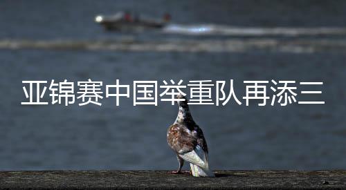 挺举银牌及总成绩金牌
