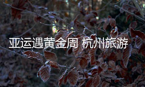 旅游白鹭从眼前飞过