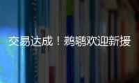 交易达成！鹈鹕欢迎新援萨迪克