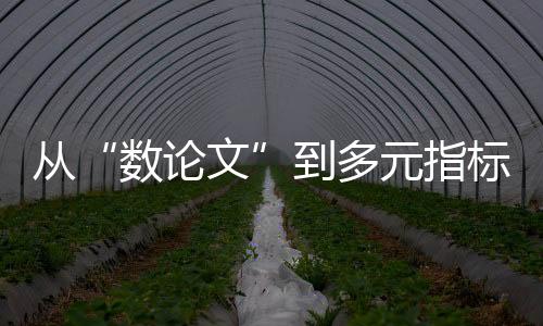 软指标变实落地