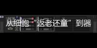 从细胞“返老还童”到器官再生：干细胞治疗离我们还有多远？