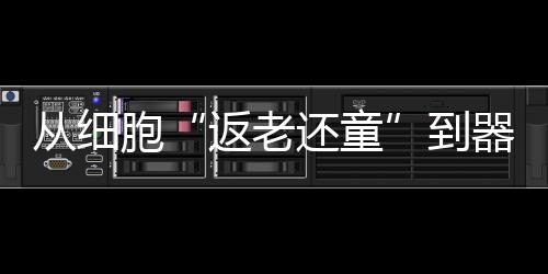 可以将诱导效率提升近十万倍