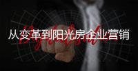 快排公司十年历程，霸屏兔 seo 的崛起与坚守