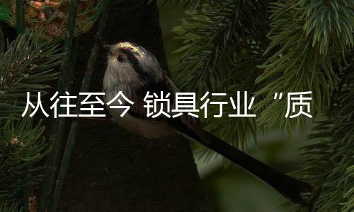 至今质量技术革新上加以改革