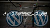 从小众领域走进大众视野 整理收纳师走俏为哪般
？