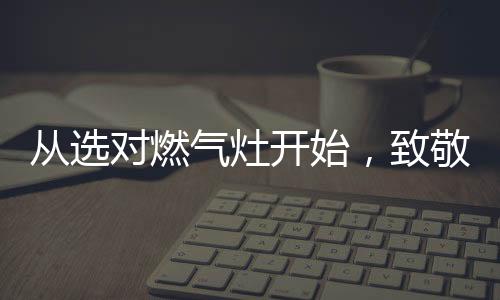 而做饭必备的燃气灶