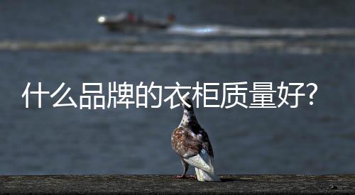 顶固衣柜顶固建立于2002年