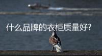 什么品牌的衣柜质量好?小编推荐十个品牌