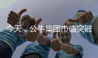 今天，公牛集团市值突破千亿!民用电工王国正在崛起……