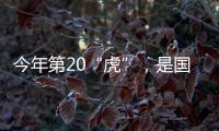 今年第20“虎”，是国家林草局组建以来落马首“虎”