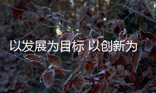 以增强核心竞争能力为主线