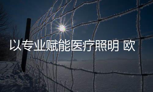 定制化的照明解决方案