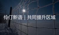 快排公司十年历程，霸屏兔 seo 的崛起与坚守