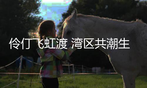 真正感受到湾区家园的暖和