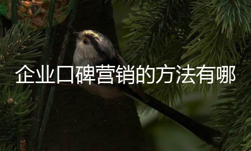 才可以获得更多关注