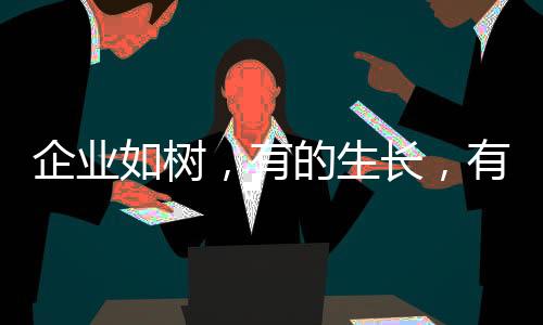 而是企业最适合的那个