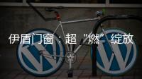 伊盾门窗
：超“燃”绽放，重磅闪耀南京移门展