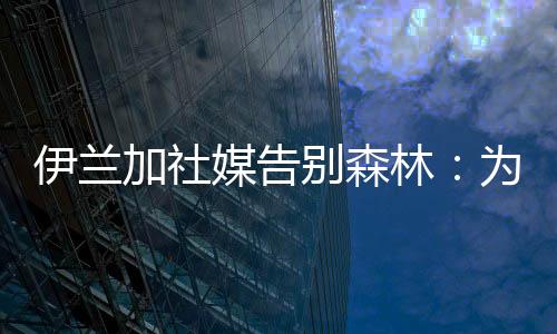 这份爱都真切地包围着我