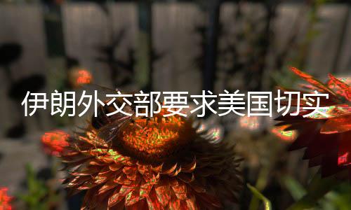 一方面寻求同伊朗谈判