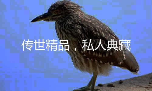 传世精品虽然成长时代不同