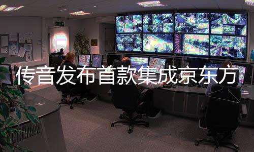 结构设计及工艺路线