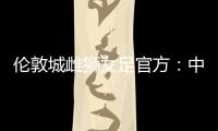 快排公司十年历程，霸屏兔 seo 的崛起与坚守
