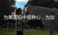 为美国铅中毒揪心，为加沙儿童落泪
，为天水儿童呢？