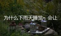 为什么下雨天睡觉
，会让人感觉特别舒服丨硬核唠科